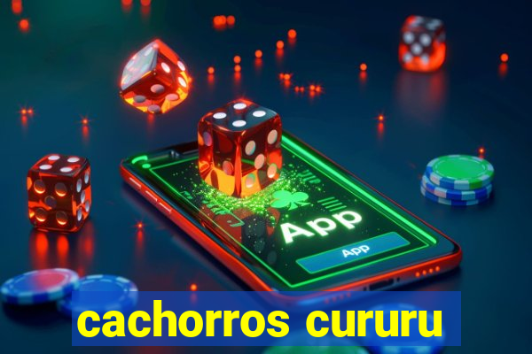 cachorros cururu